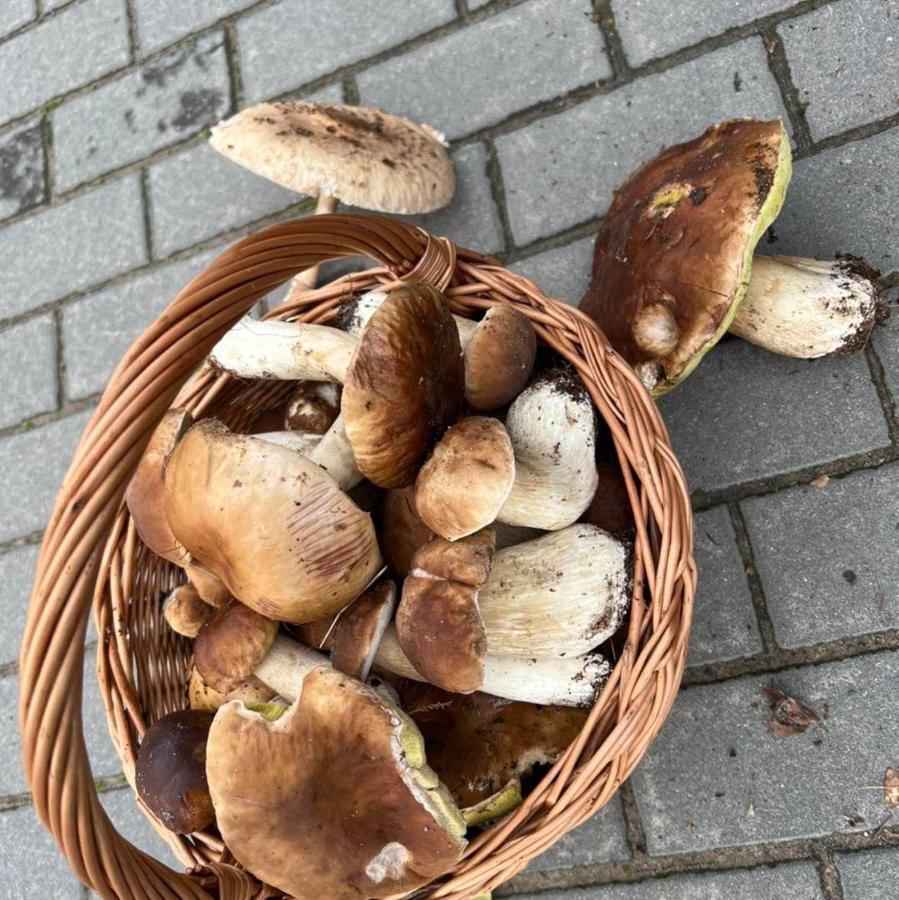 Domek Nad Jeziorem Myślibórz Dış mekan fotoğraf